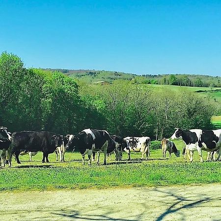 « Le Vieux Hangar » Gite A La Ferme Truffe Eksteriør bilde