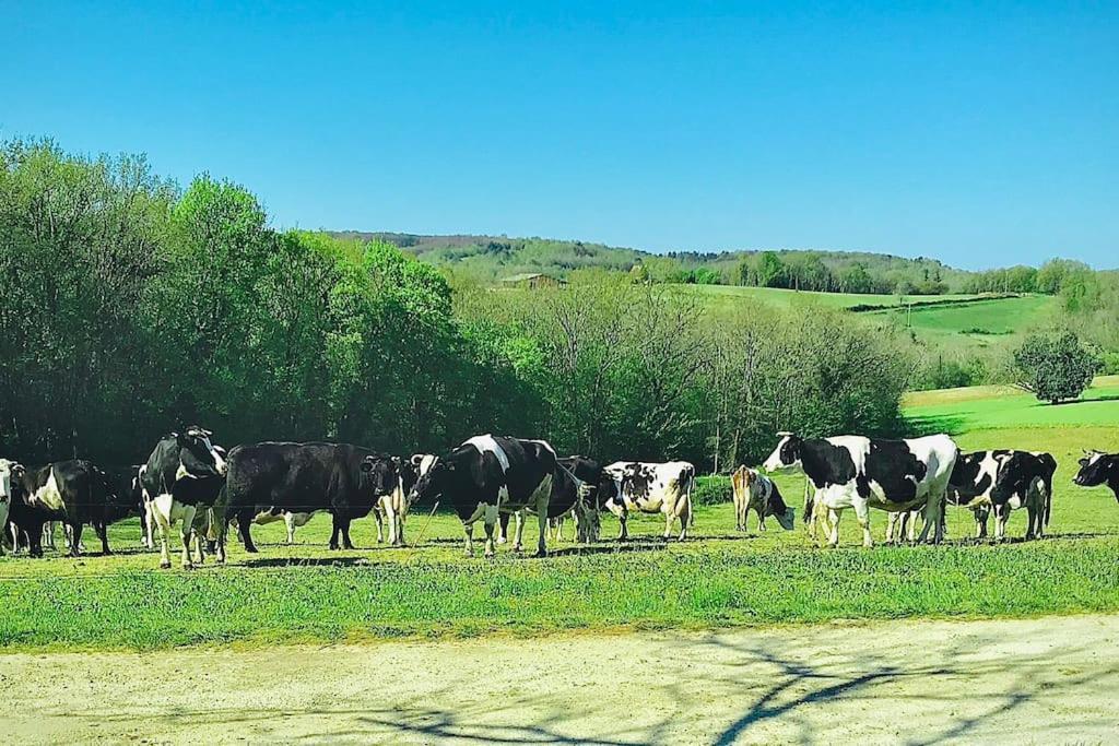« Le Vieux Hangar » Gite A La Ferme Truffe Eksteriør bilde